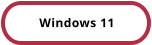 Windows 11