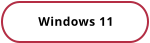 Windows 11