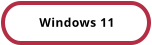 Windows 11